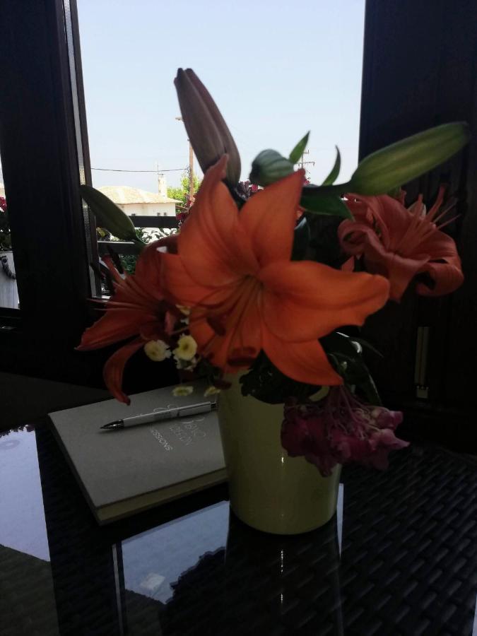 Hotel Erato โคเรฟตอน ภายนอก รูปภาพ